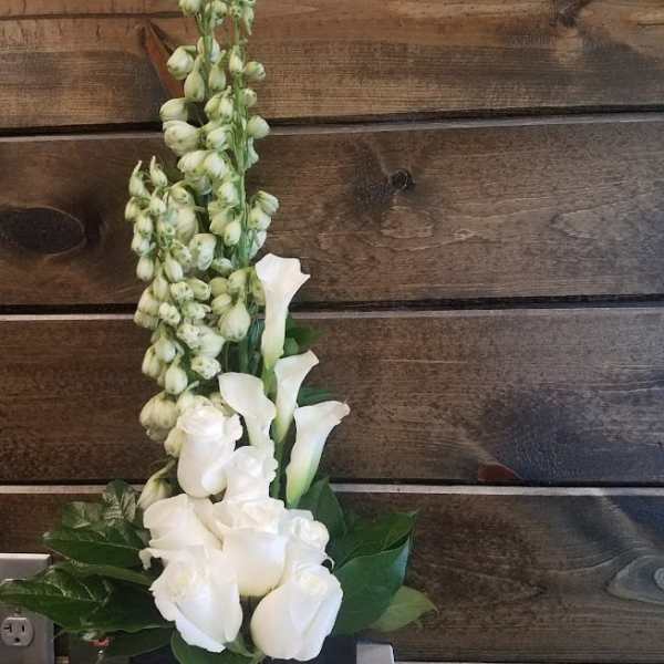 Simply White