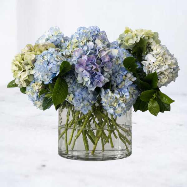 Coastline