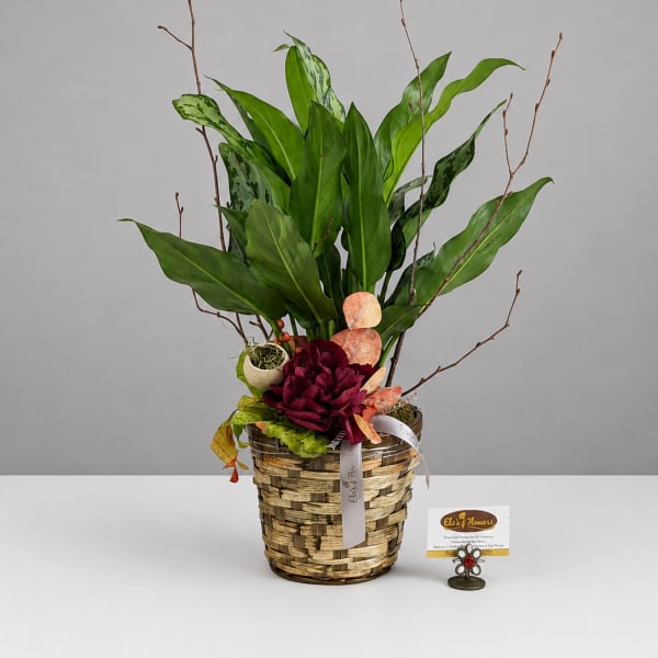 Tropical plant arrangement in a woven basket with burgundy flowers and decorative branches