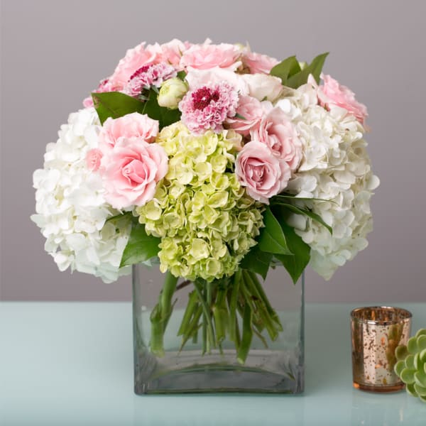 Secret Garden
