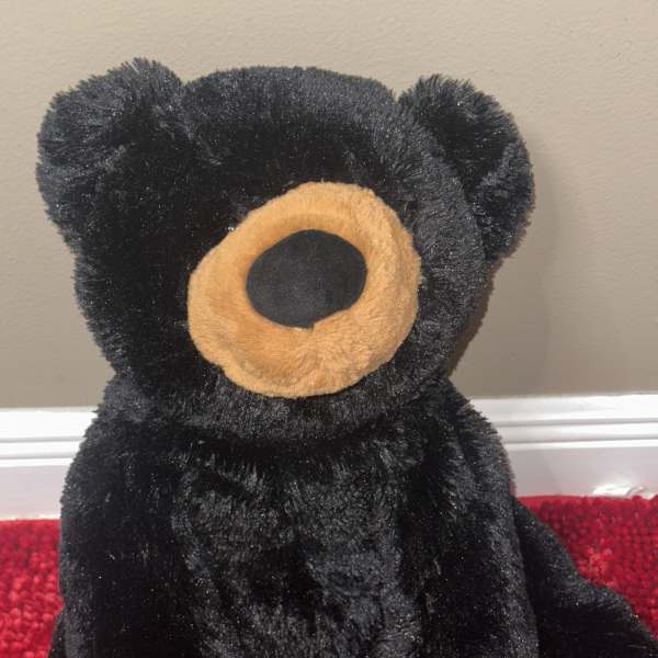 Black teddy bear plush with tan muzzle and paw pads
