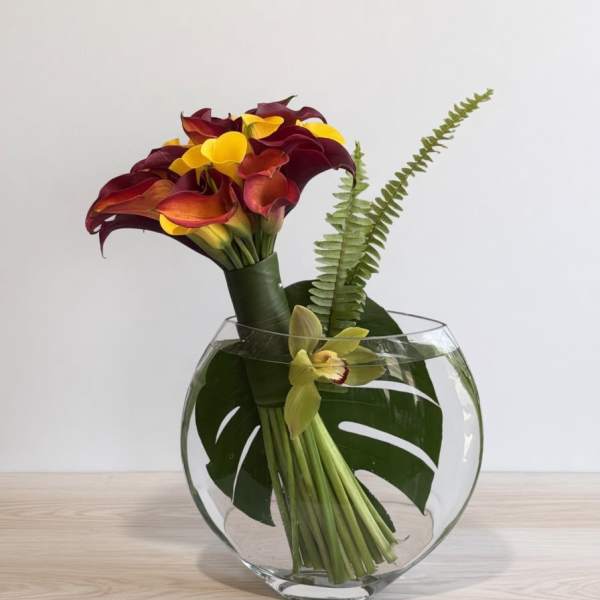 Magic Calla