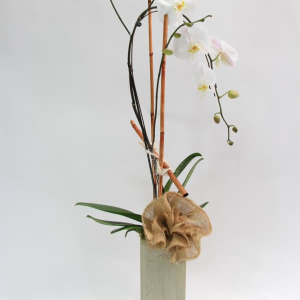 White orchid arrangement in a tall rectangular vase with burlap accent