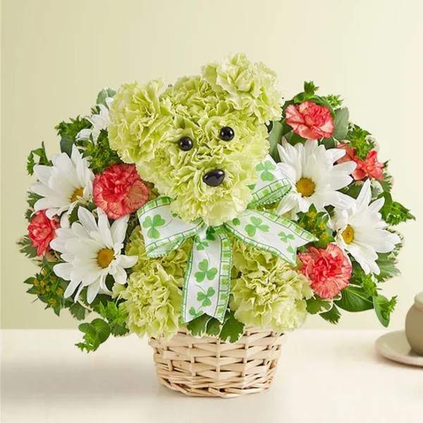 Green teddy bear flower arrangement in a basket with daisies and carnations