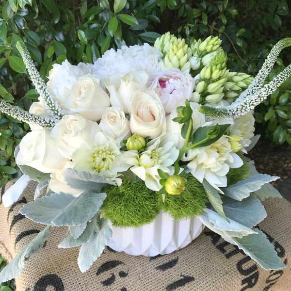 White roses and dahlias arranged in a white vase with green accents