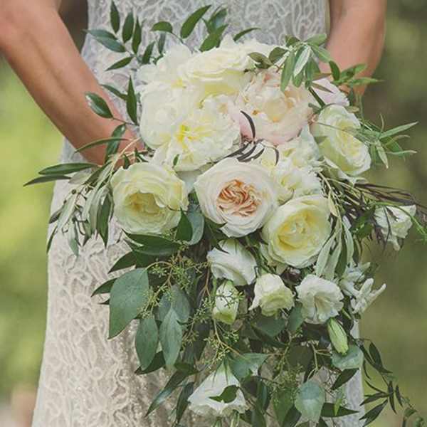 Cascading bridal bouquet of white and cream roses with trailing foliage