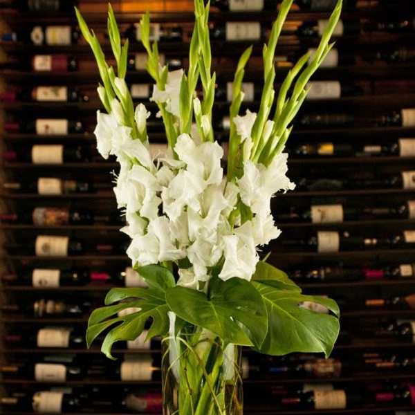 White Glads with Tropical leaves