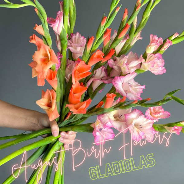 August Birthday Flowers