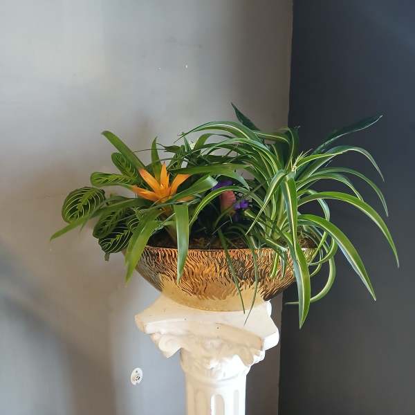 Mixed tropical plants in a gold bowl planter on a pedestal