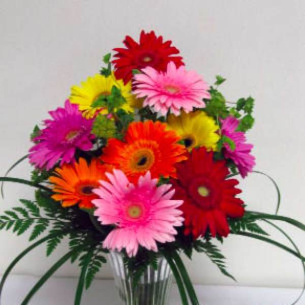Colorful gerbera daisy bouquet in a clear glass vase