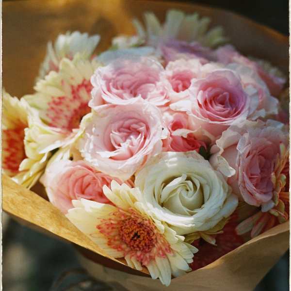 Bouquet of pink roses and pale gerbera daisies wrapped in brown paper