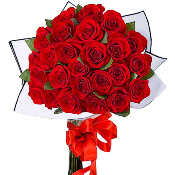 Bouquet of red roses wrapped in white paper with a red ribbon