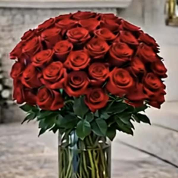 50 Red Roses in a Glass Vase