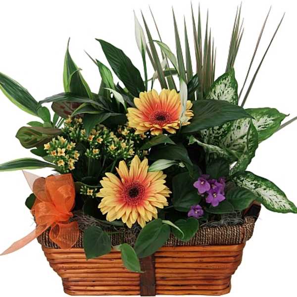 Summer Garden Bsket