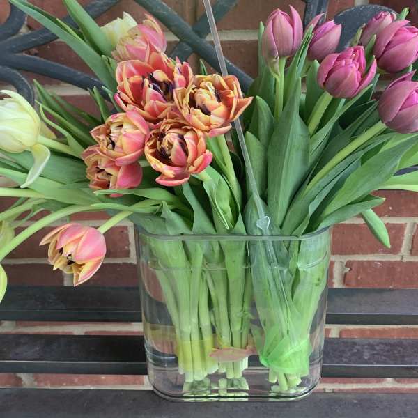 Glass vase of pink, yellow, and orange tulips