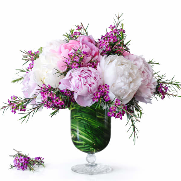 Pink and white peonies in a glass vase with purple accent flowers