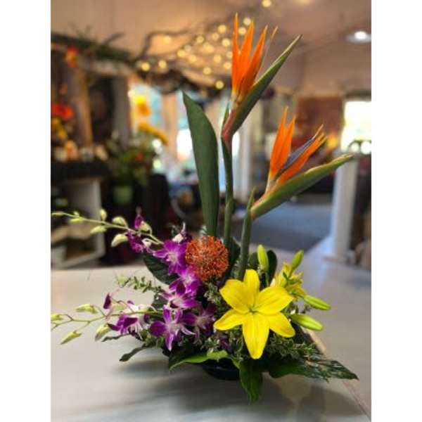 Elyasian Blooms