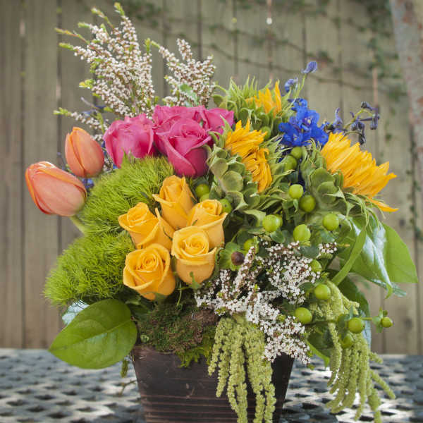 Delizia Pomeriggio