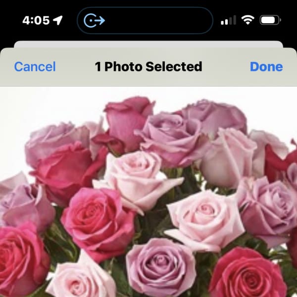 Sunshine mom