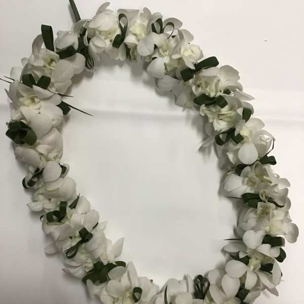 Lei 25