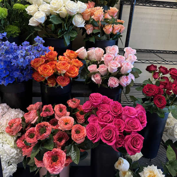 Assorted rose bouquets in black buckets with blue delphinium and white hydrangeas