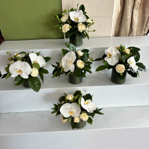 White orchid and cream rose arrangements in green containers