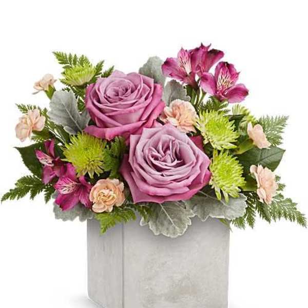 Modern Muse