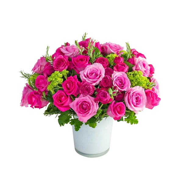 Pink and magenta roses arranged in a white vase