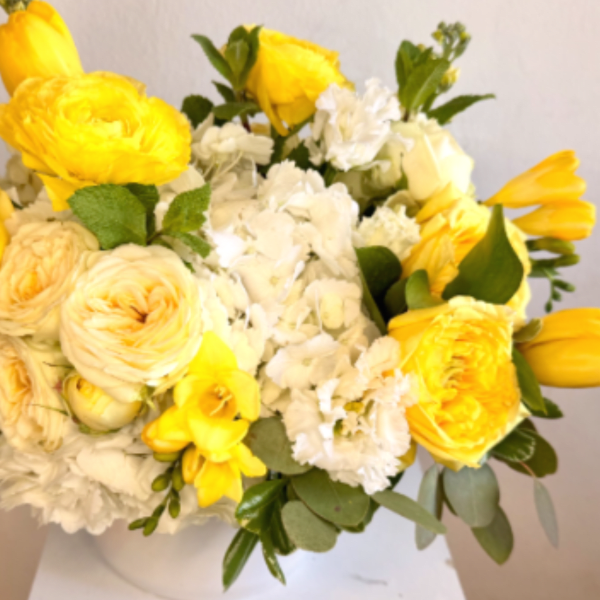 Mellow Yellow