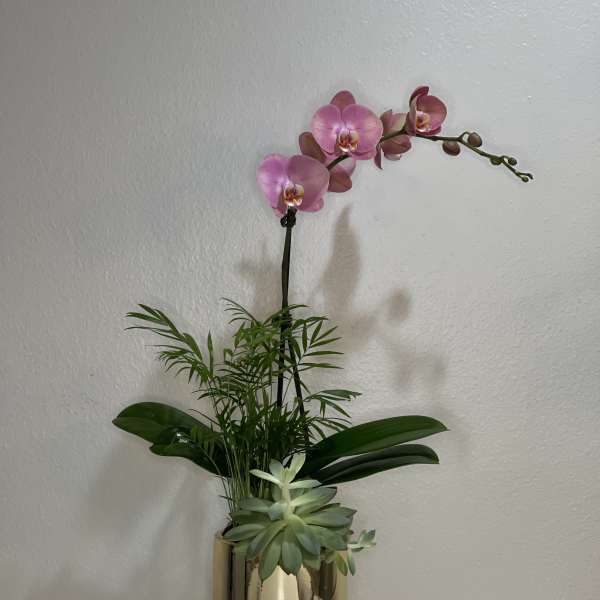 Pretty in Pink
