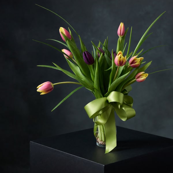 Dozen Tulips (Assorted Colors)