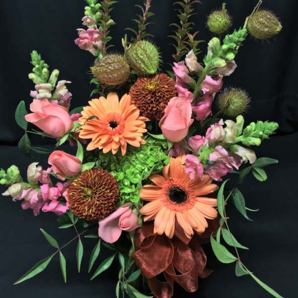 Asclepias Pod Cheerful Mix