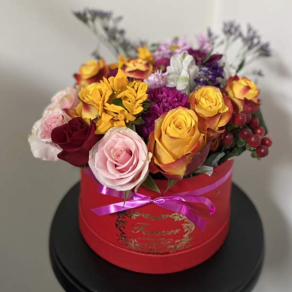 Box tricolor