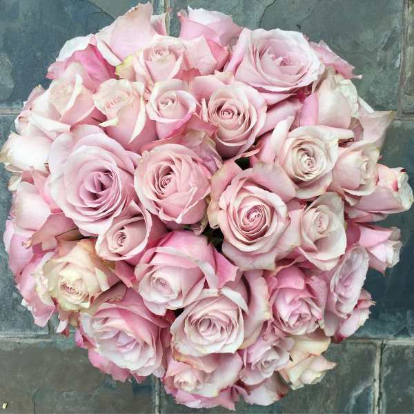 Bouquet of pale pink roses viewed from above