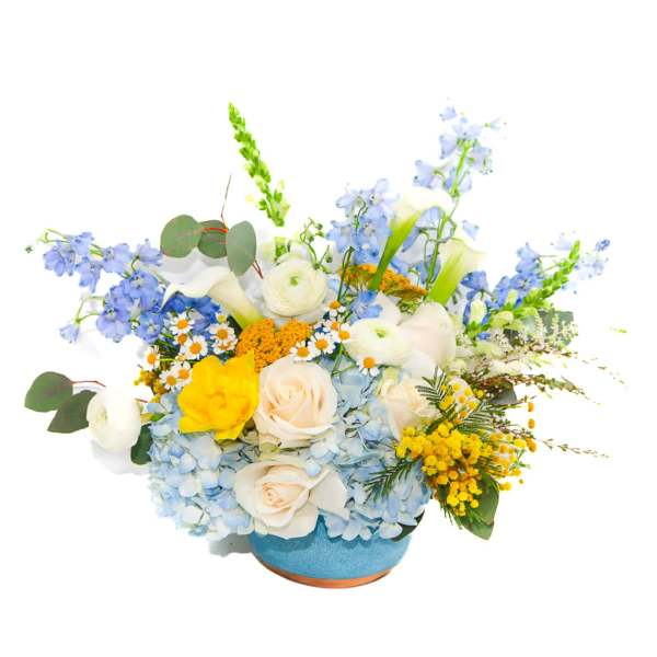 The Starry Night