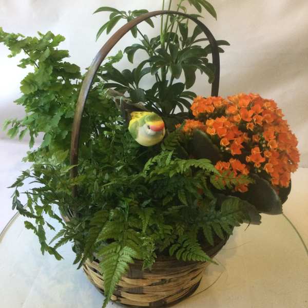 All Our Love Plant Basket