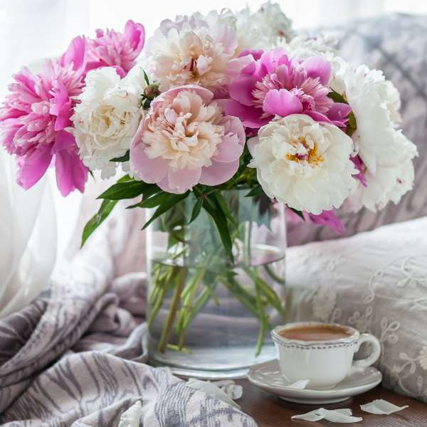 Pink and white peonies in a glass vase beside a teacup