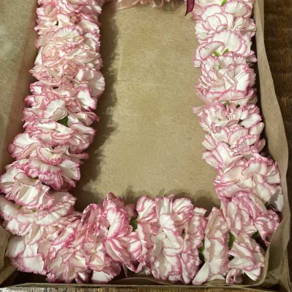 Pink and white carnation lei in a box with a ribbon bow