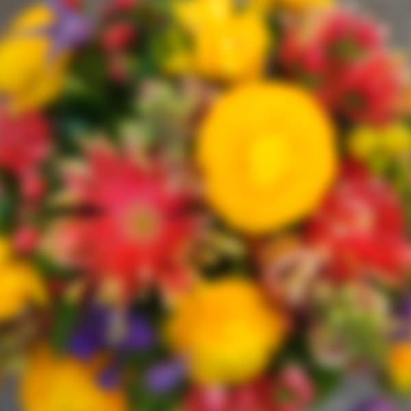 Blurred bouquet of bright mixed flowers in yellow, red, and purple