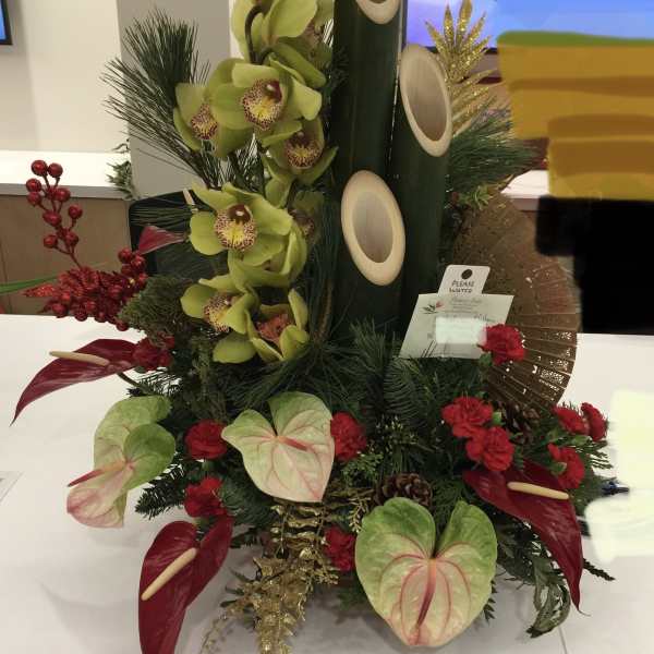 Tropical floral arrangement with green orchids, red anthuriums, and pine accents
