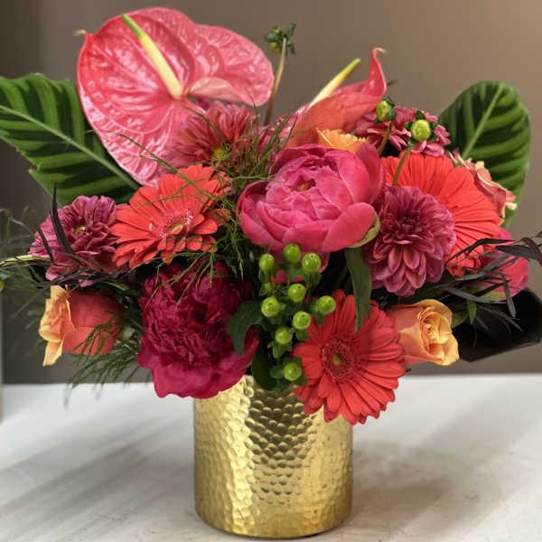 Coral Carousal