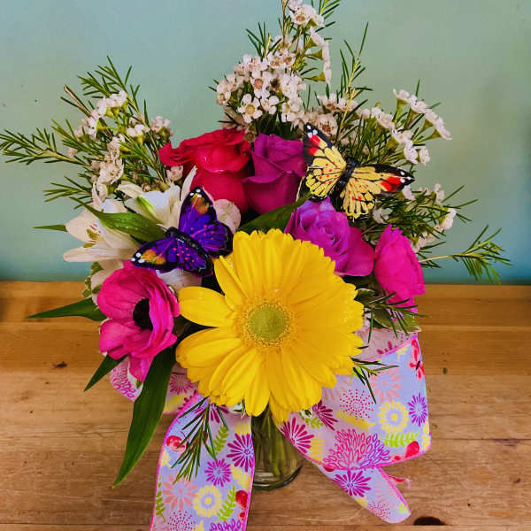 Summer Fun