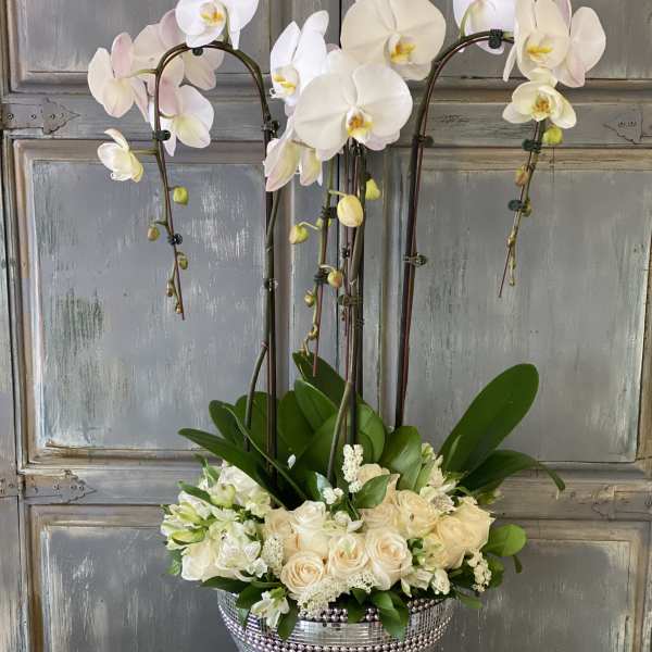White orchids and cream roses in a silver beaded container