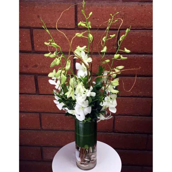 White orchid arrangement in a clear glass vase