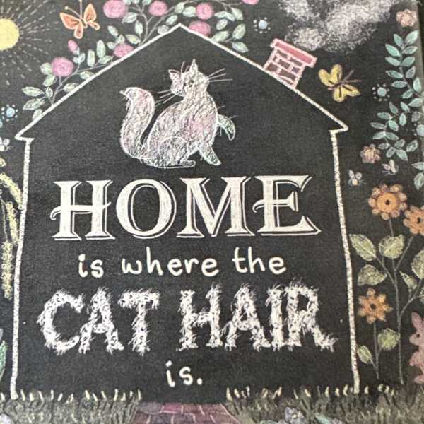 Home Is Where The Cat Hair Is