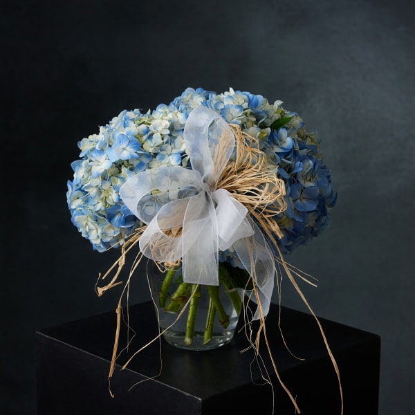 Blue and white hydrangea bouquet tied with a sheer ribbon