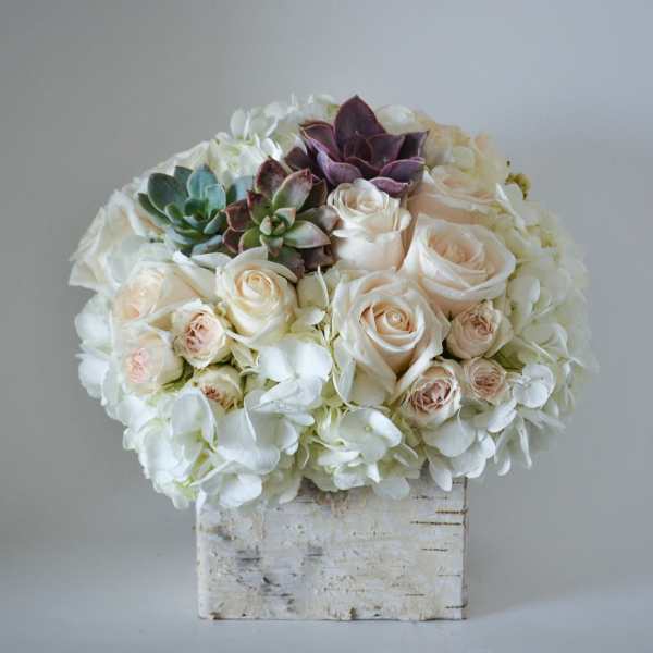 The Birch Box - FB
