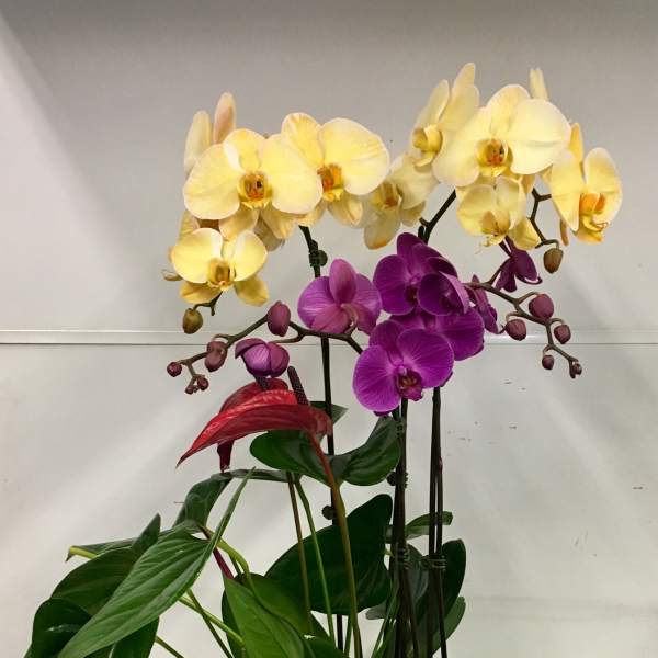 It a party!