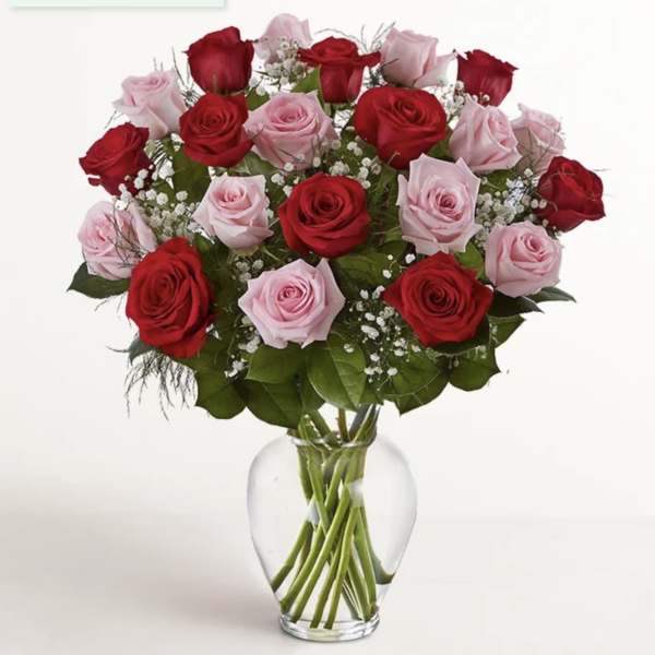 Red & pink Roses