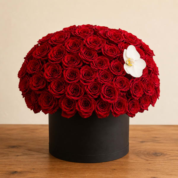 Round box of red roses with a white orchid accent